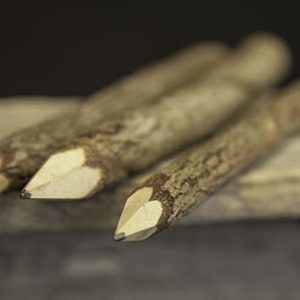 Twig Pencils