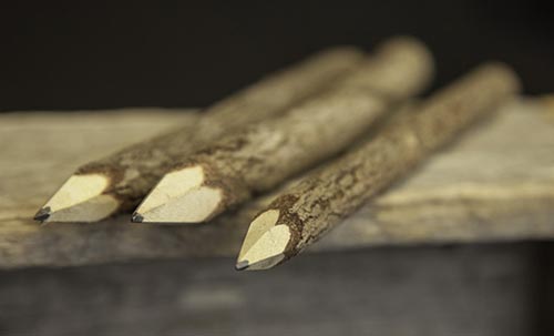 Twig Pencils